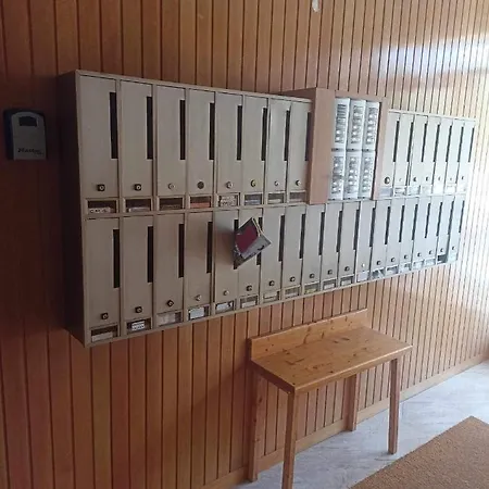 Orchidea טרביסיו