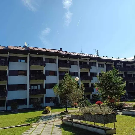 Orchidea * Tarvisio
