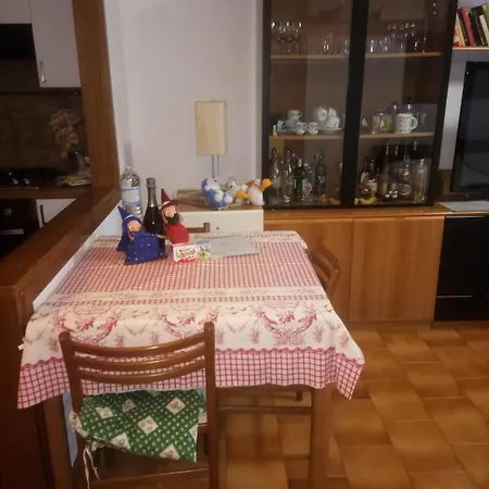 Orchidea טרביסיו